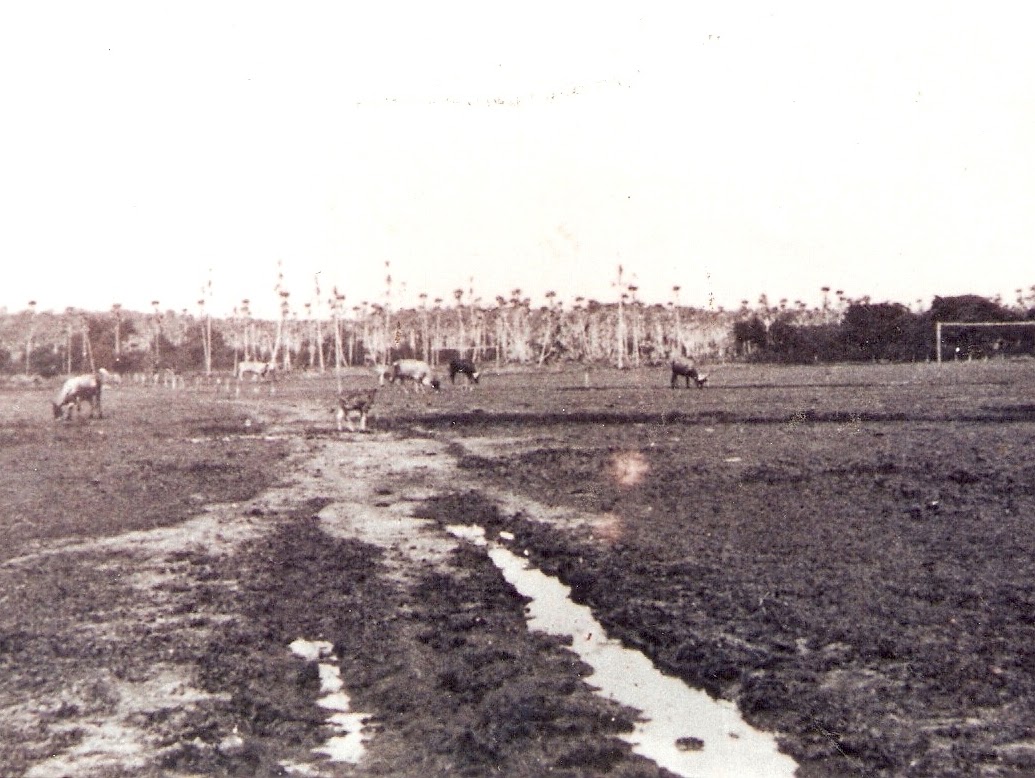 Campo de Futebol